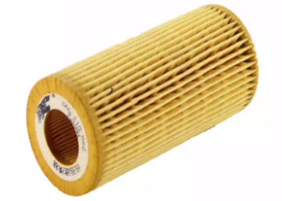 Auto Part Car 06L 115 466 Filtro olio motore per auto con etichetta privata per VW
