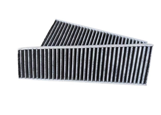 4GD819343 ha attivato il filtro a carbone 4GD819429 dall'automobile per AUDI FAW A6L